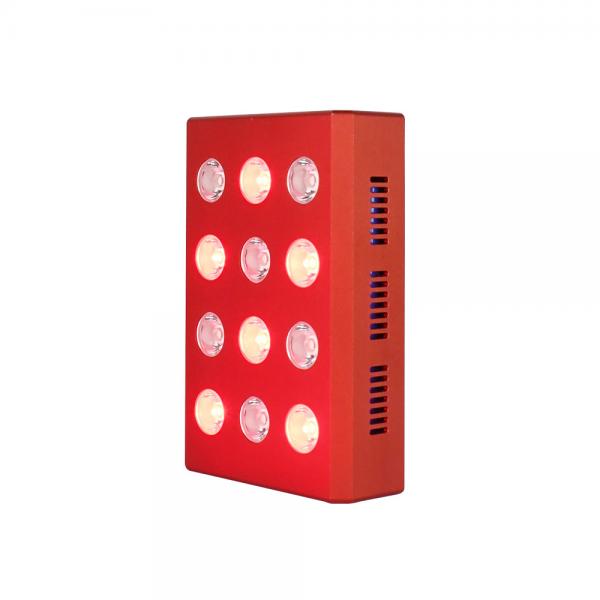 Quality 850nm Portable Red Light Therapy Device for sale