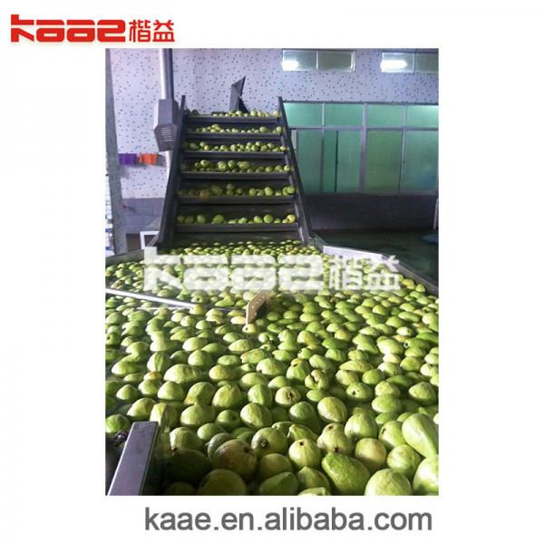 Quality Mango Pulp Mango Processing Line Fruit Juice Machinery 0.5 - 120T/H for sale