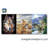 China 3D Effect Lenticular Flip Wolf / Eagle Pattern PP / PET Material Wall Poster factory