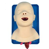 China Neonate Intubation Cpr First Aid Manikins Medical Simulation Model factory