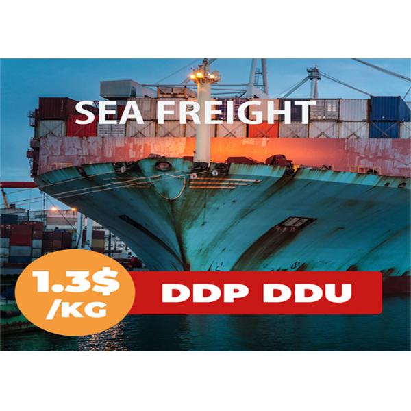 Quality China To India LCL Ocean Shipping for sale