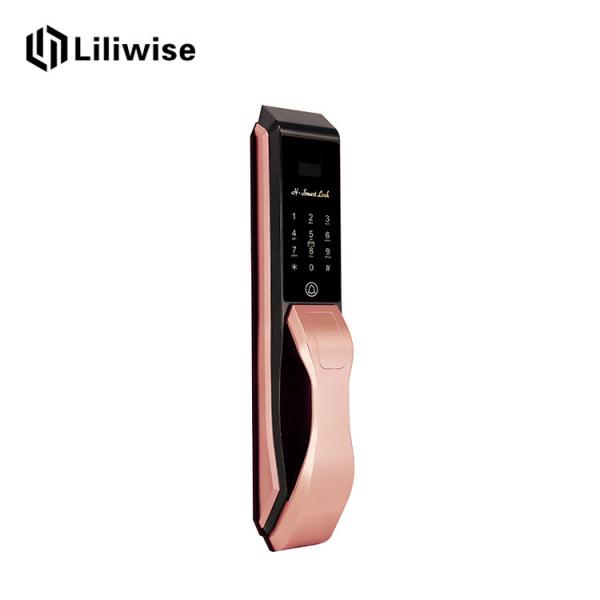 Quality Biometric Recognition Automatic Door Lock Rose Golde Double Security Protection for sale
