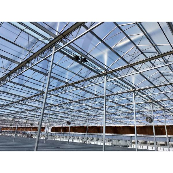 Quality Roof Ventilation Plant Commercial Glass Greenhouse With Inner Shading System for sale