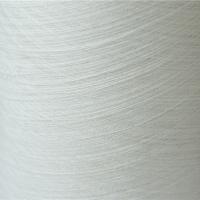Quality 30/2 Raw White Color 100% Meta Aramid Spun Yarn Fire Retardant for sale