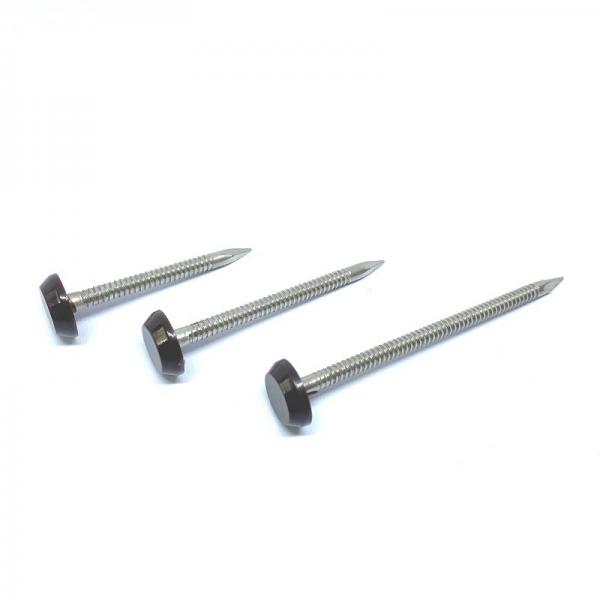 Quality RAL9005 Black 50mm Plastic Head Nails A4 Stainless Steel Ring Shank Nail for sale