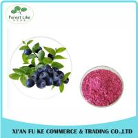China 100% Natural Fruit Dried Blueberry Powder factory