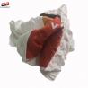 China Waste Cotton Cotton Workshop Industrial Cleaning Rags factory