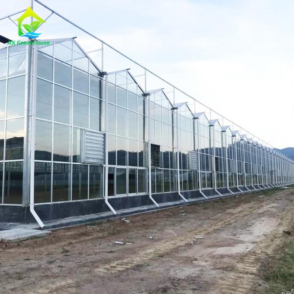 Quality OEM ODM Safety 5mm Tempered Glass For Greenhouse Wall Covering for sale