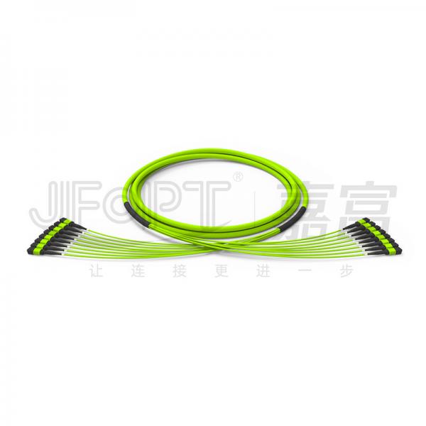 Quality 96 Cores 12 Fibers MPO Fiber Jumper 8 Units OM5 50/125 Multimode High Bandwidth for sale