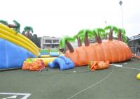 China Giant Outdoor Play Equipment Amazing Inflatable Water Park For Kids factory