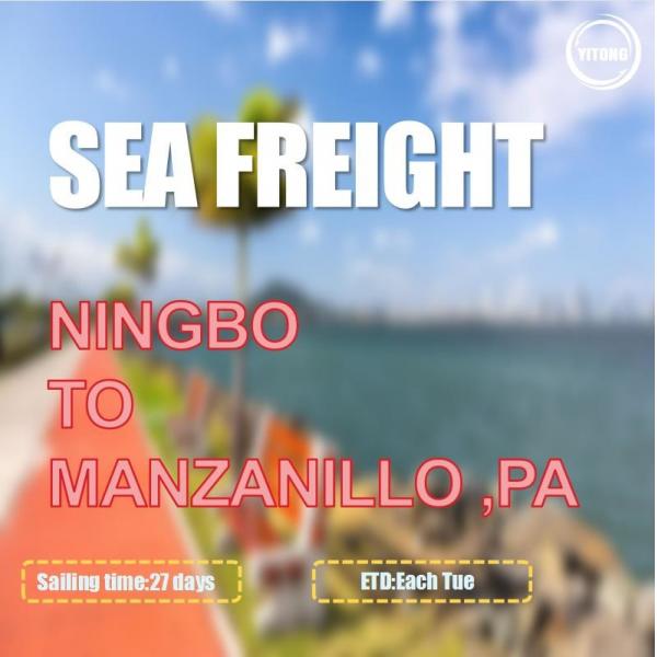 Quality DDU DAP International Sea Freight From Ningbo To Manzanillo Panama for sale