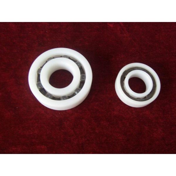 Quality PTFE PVDF Plastic Ball Bearings Corrosion Preventive With Ceramic Or Stainless Balls for sale