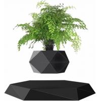 China Black Hexagon Magnetic Levitation Plant Levitating Air Bonsai Pot 360 Degree Rotation factory