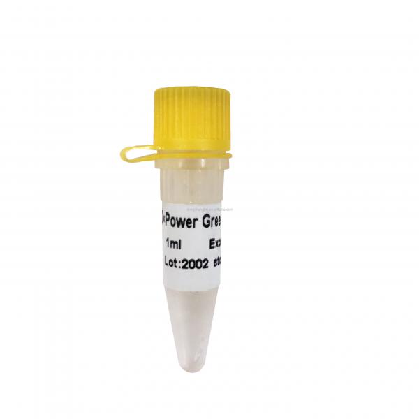 Quality 2X Power Green Real Time PCR Mix 1 Ml QPCR Mix Colorless for sale