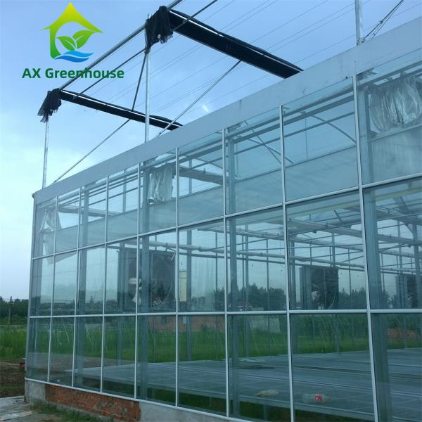 Quality Commercial Multispan Large Venlo Glass Greenhouse Hot Galvanized Steel Frame for sale