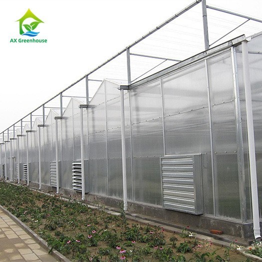 Quality OEM Flowers Polycarbonate Sheet Greenhouse Transparent Tropical Fruit Greenhouse for sale