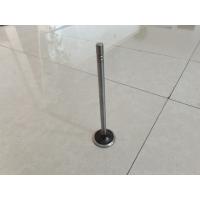 Quality Engine Intake Valve Exhaust Valve Parts 252-7802 224-3030 Customized for sale