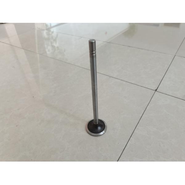 Quality Engine Intake Valve Exhaust Valve Parts 252-7802 224-3030 Customized for sale