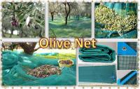 China 70g/m2-120g/m2 Olive Net Olive Harvest Mesh Net Olive Collecting Netting factory