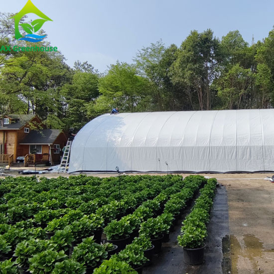 Quality 1m-12m Width Greenhouse Plastic Film for sale