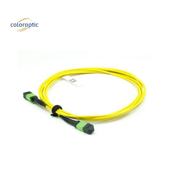 Quality OM3 MPO Patch Cord 12 Core Aqua Fiber Optic Connector For Efficient Networking for sale