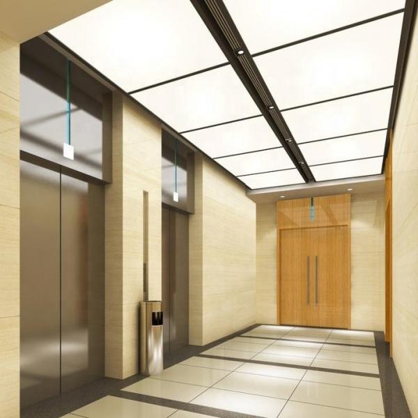 Quality GERMAN ORIGIN GYG ELEVATOR TRACTION PASSENGER ELEVATORS LIFT for sale