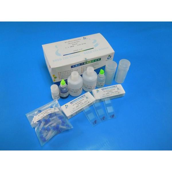 Quality Wright Stain Sperm DNA Fragmentation Test Validated Reagent Kit 40 Tests/Kit for sale