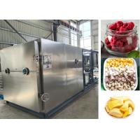 China Large Food Milk Vacuum  Freeze Dry Fruit Machine with 100kg/batch factory