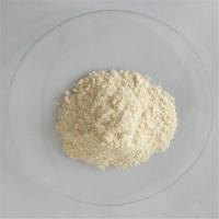 China 50%Extract powder garcinia cambogia factory