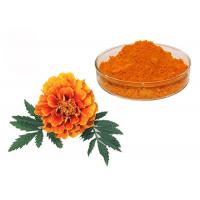 China Natural Pigment Xanthophyll Marigold Flower Herbal Extract Powder factory