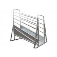 Quality Hot Dip Galvanized 4m Sheep Loading Ramp Plans Corrosion Resistance for sale