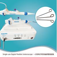China Ureteroendscope V1E V2E With CE Certificate factory