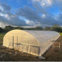 china Metal Frame Hothouse Vegtable Hoop House High Tunnel Greenhouse for Sale