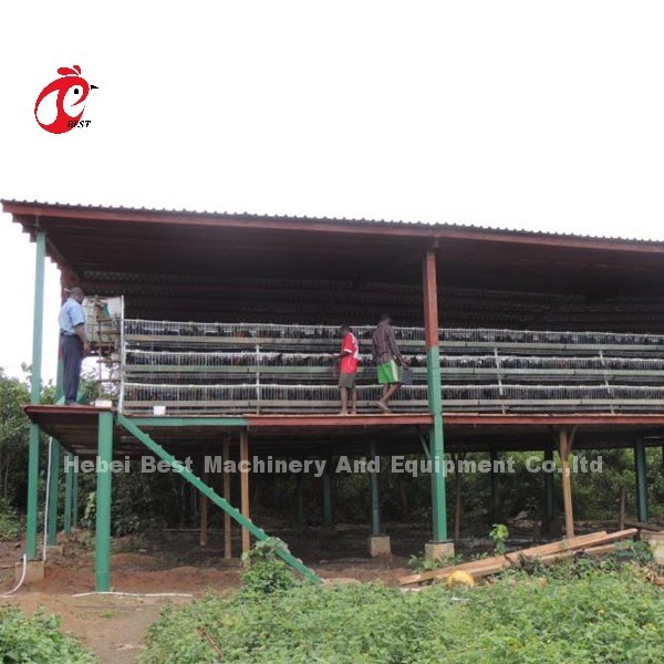 Quality Automatic Poultry Battery Cage System Coated Wire With Long Lifespan Nigeria for sale