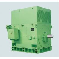 China IE3 / IE2 High Voltage Induction Motor Water Pump Three Phase ISO9001 factory