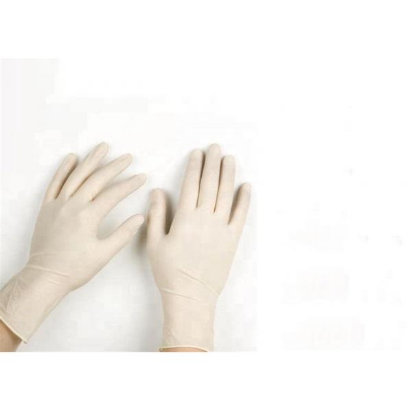 Quality Natural Latex Material Disposable Medical Gloves For Hospital / Laboratory for sale