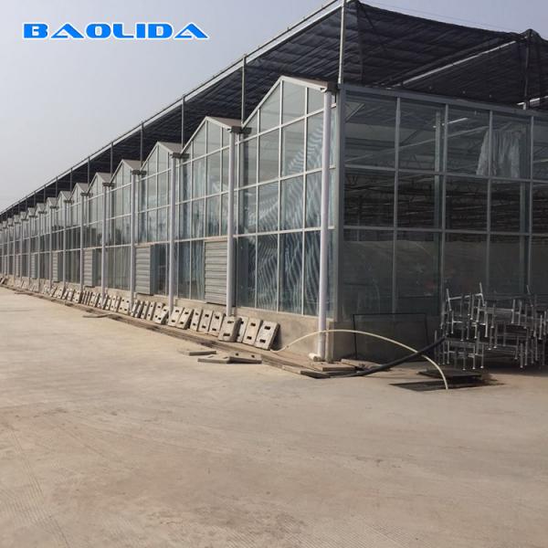 Quality Solar Polycarbonate Sheet Greenhouse / Agricultural PC Sheet Greenhouse for sale