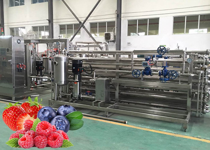 China CIP Cleaning Fruit Processing Line Strawberry Juice Processing Machine ISO9001 factory