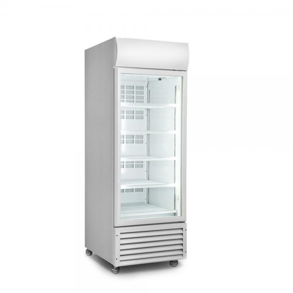 Quality 360L Upright Display Freezer for sale