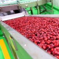 China Chinese Date Fruit Juice Processing Line , ISO9001 Fruit Pulp Processing Plant factory