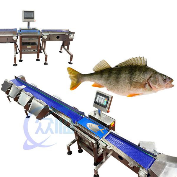 Quality 121pcs/min Fish Weight Grader Fish Weighing And Sorting Machine For Aquatic Environment for sale
