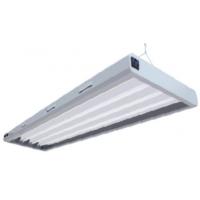 China Horticultural T8 LED Lamp Grow Light System High Lumen Output Low Profile factory
