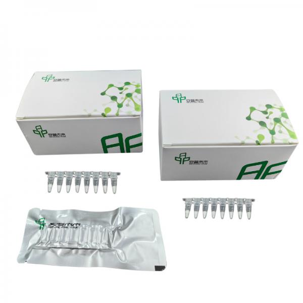 Quality Simple And Fast RNA PCR Amplification Kit For Achieving Optimal Results for sale