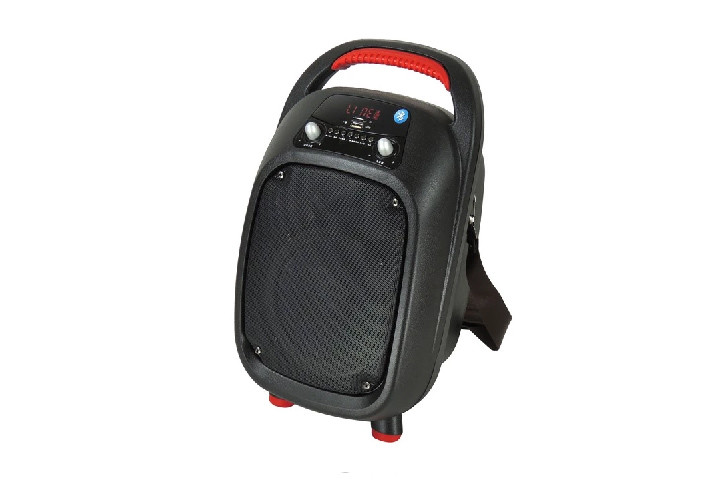China 6.5 Inch Portable Trolley Speaker 2'' Tweeter Size High End Audio Equipment factory