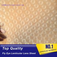 China PLASTIC LENTICULAR 3d 360 fly eye lens sheet fly eye lenticular sheet arrays with small dots for sale