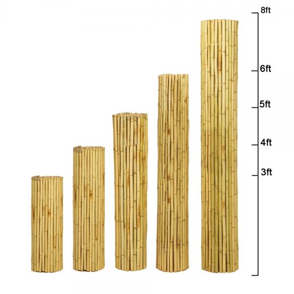 Quality 150cm Nature Colored Decorative Bamboo Fence For Garden Backyard Border for sale