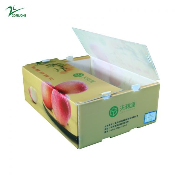 Quality PP/PE  plastic box for Fruits and vegetables for sale