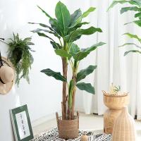 China 1.6m Factory Real Touch High Quality Artificial Banana Tree For Hot Sale for sale