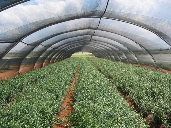 Black Garden Carport Wind Production Agriculture Shade Net