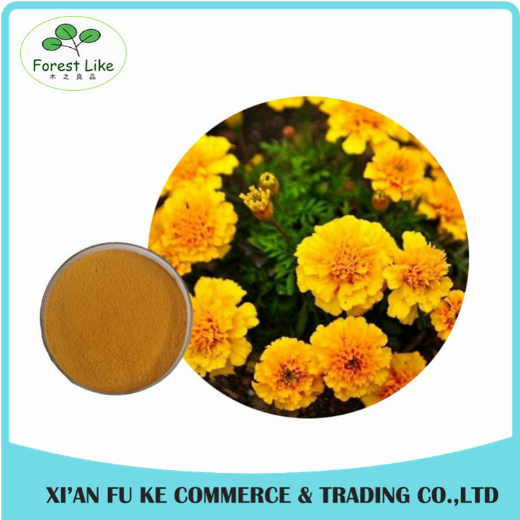 China Eye Health Product  Marigold Powder Extract  Lutein 5 % - 20 % factory